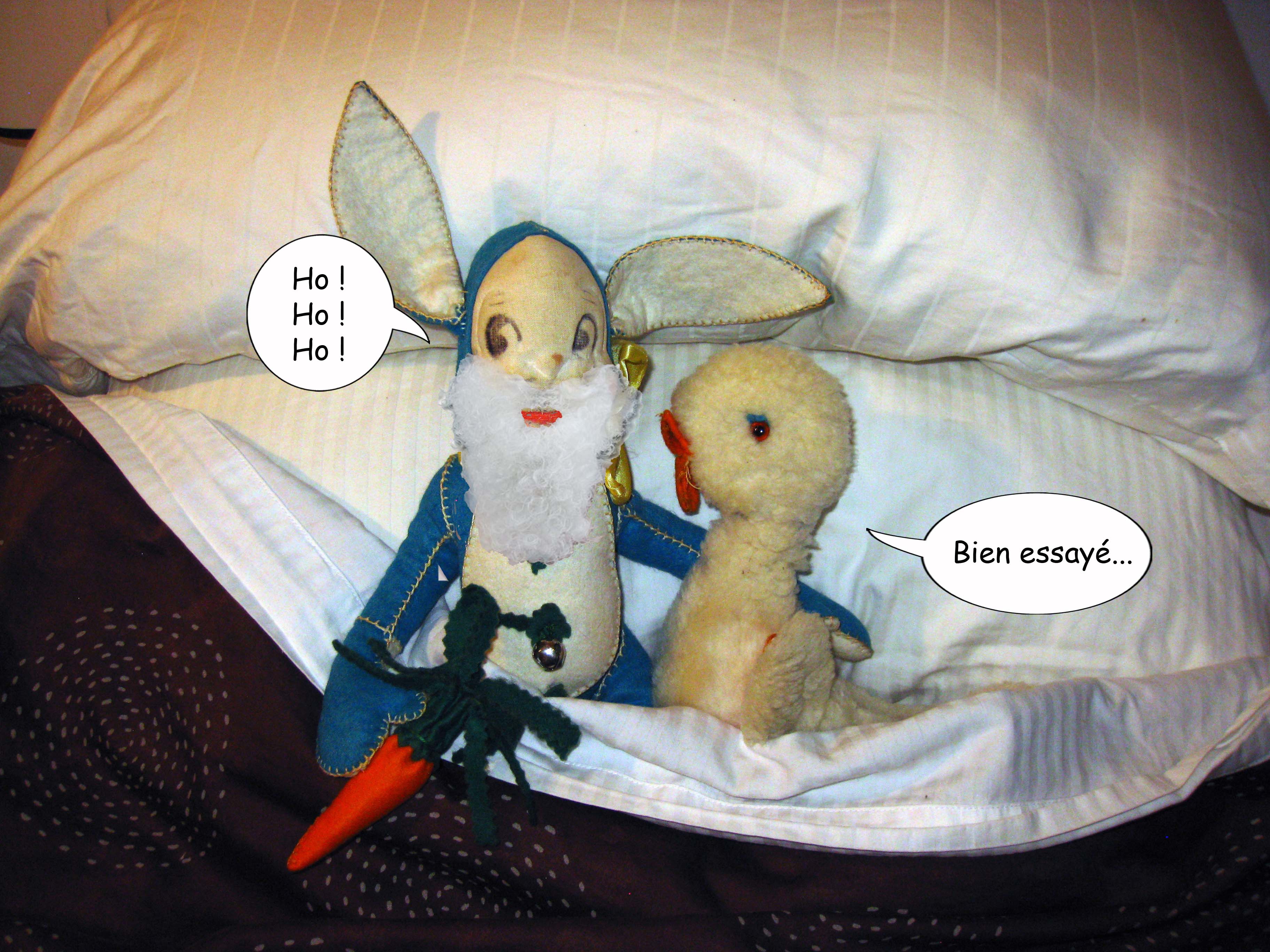 Canard Lapin 78 2021 12 20 Soupe